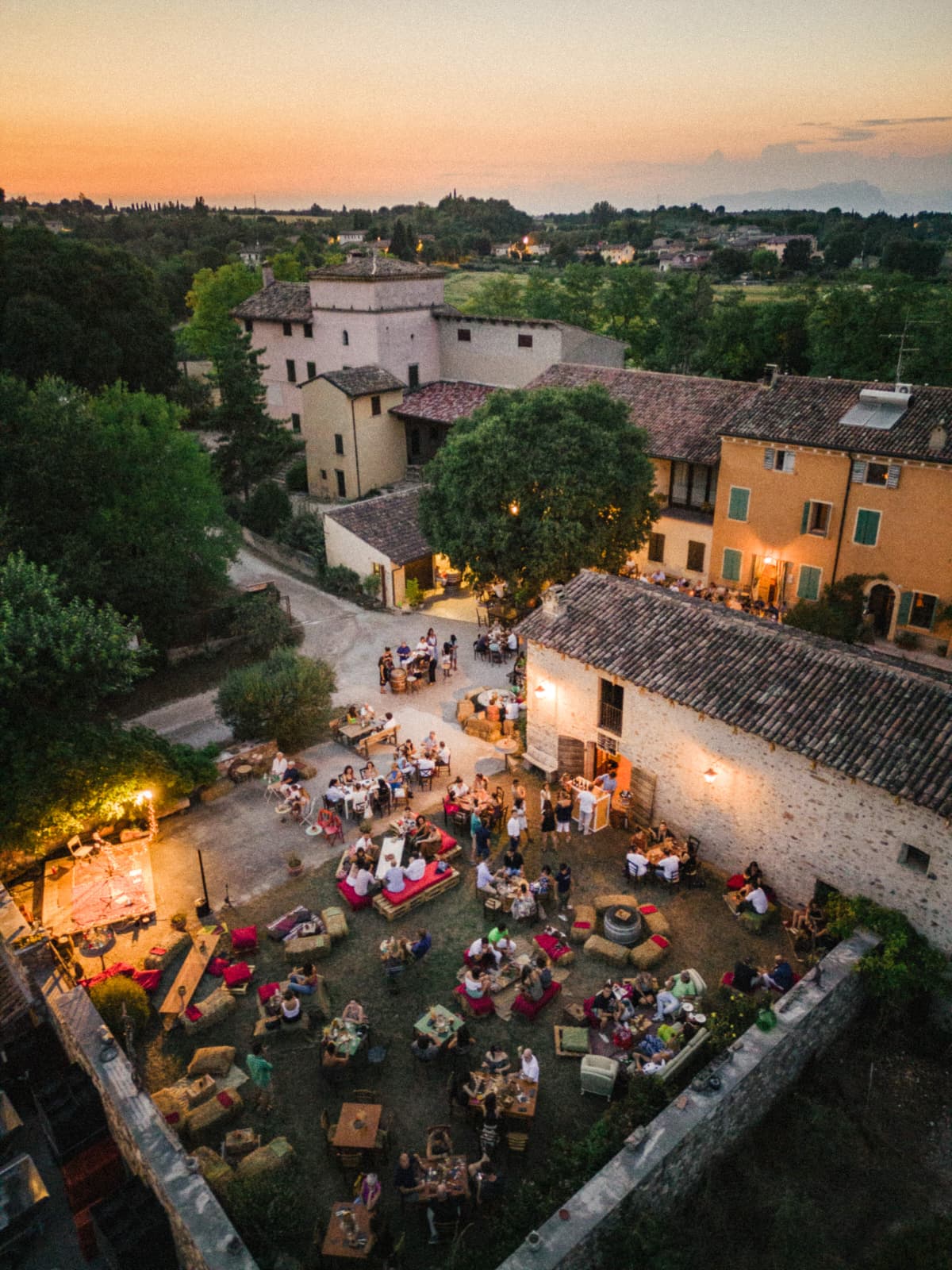 VISITA DI CANTINA E VIGNETO CON DEGUSTAZIONE DEI NOSTRI VINI